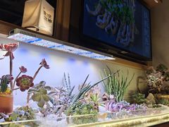 -街角等你.大连海鲜烧烤.经典铁板海鲜串(西安路店)