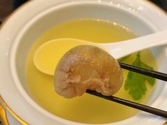 西洋参·鸽吞燕-民国红公馆·艺文空间(颐和路店)