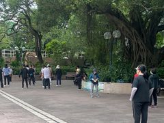 -九龙公园
