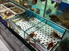 -渔码头食府·20年蓬莱老字号(登州路店)