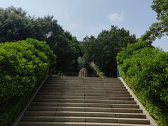 -青礁慈济宫