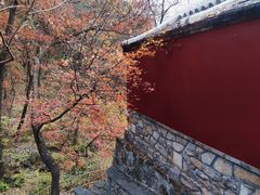 -北京上方山国家森林公园