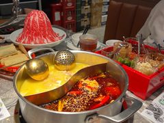 -禄婶鸡煲·打边炉