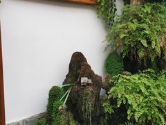 -丽江庭院之爱在路上(西单店)