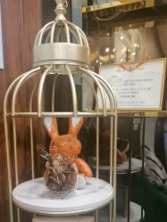 -东森自然美.INDIBA.美容SPA.皮肤管理