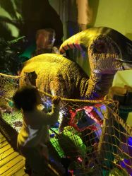 -恐龙探索乐园(磁器口店)