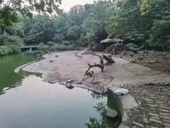 -红梅公园