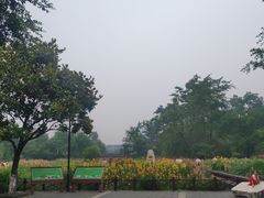 -桂湖森林公园