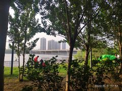 -长白岛森林公园