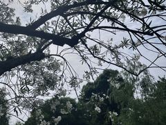 -拙政园