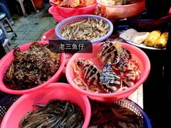 -老三鱼仔店