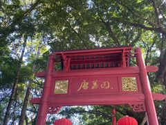 -侨美·唐荔园·40年地道粤菜