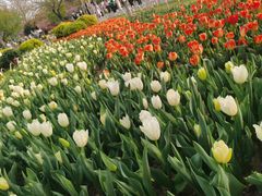 -玄武湖景区-情侣园游乐场