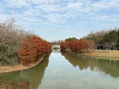 -上海海湾国家森林公园