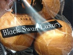 天鹅蛋-BLACKSWAN黑天鹅(环球店)