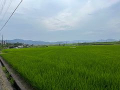 -岚山嵯峨野观光小火车