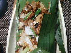 -雀舞云南菜(乐客城店)