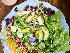 wkate&nbsp;salad-威克特披萨汉堡