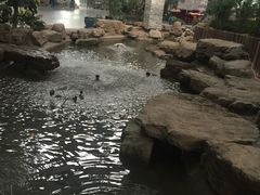 -森谷美食公园(杨行店)