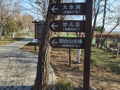 -阳台山自然风景区