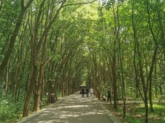 -同里国家湿地公园