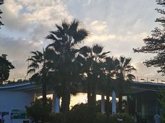 -福田红树林生态公园