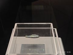 -隋唐大运河文化博物馆