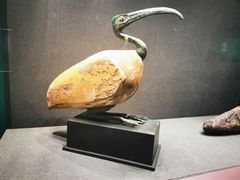 -遇见博物馆(遇见海洋沉浸式奇幻光影展)