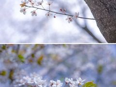 -山东师范大学(千佛山校区)