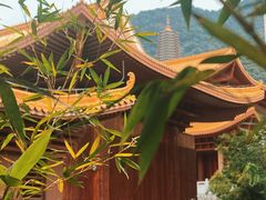 -深圳仙湖植物园