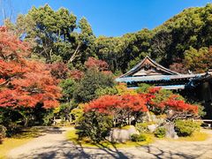 -醍醐寺