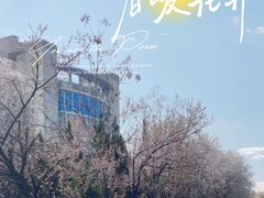 -凯德广场(西城店)