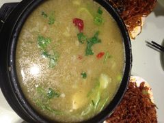 狗肉汤炖豆腐-春花民族美食(佳木斯总店)