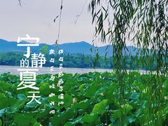 -西湖游船