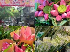 -溪岸路花鸟市场