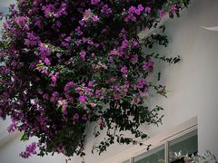 -收获咖啡HARVEST RESERVE(苍山店)