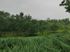 -滨河世纪广场公园