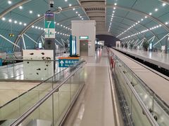 -龙阳路磁悬浮列车总站-停车场