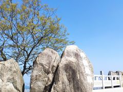 -阳台山森林公园