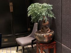 -唐拉雅秀酒店-唐苑中餐厅