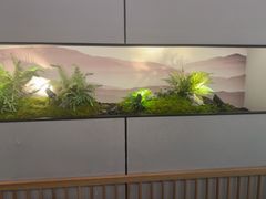 -绿茶餐厅(滨海万达广场店)