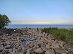 -上海吴淞炮台湾国家湿地公园