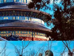-天坛公园