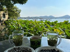 -湖畔居茶楼(湖滨店)