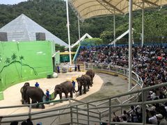 -大连森林动物园