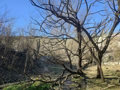 -白水寺森林公园