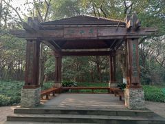 -上海吴淞炮台湾国家湿地公园
