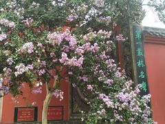 -古大圣慈寺