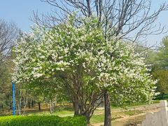 -森林公园(尖草坪区)