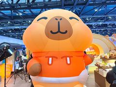 -国家会议中心大酒店